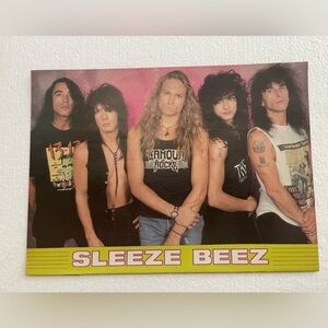 Sleeze Beez Band Pinup
